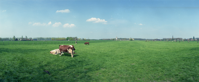 823796 Gezicht op enkele weilanden met koeien in de omgeving van Werkhoven (gemeente Bunnik); op de achtergrond ( in ...